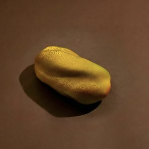 Pistache silicone mold